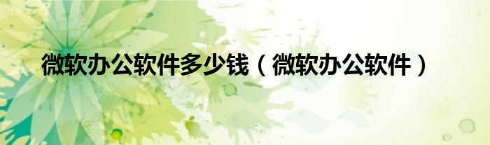 微軟辦公軟件多少錢（微軟辦公軟件）