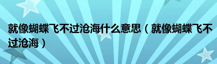 就像蝴蝶飛不過滄海什么意思（就像蝴蝶飛不過滄海）