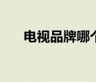 電視品牌哪個好點（電視品牌哪個好）
