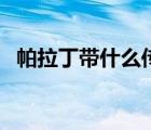 帕拉丁帶什么傳說套（帕拉丁傳說套選擇）