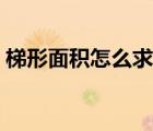 梯形面積怎么求公式中文（梯形面積怎么求）