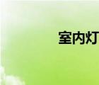 室內(nèi)燈具介紹（室內(nèi)燈具）