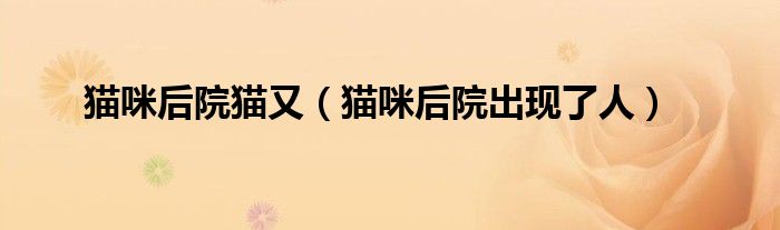 貓咪后院貓又（貓咪后院出現(xiàn)了人）