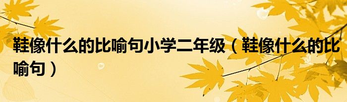 鞋像什么的比喻句小學(xué)二年級(jí)（鞋像什么的比喻句）