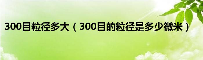 300目粒徑多大（300目的粒徑是多少微米）