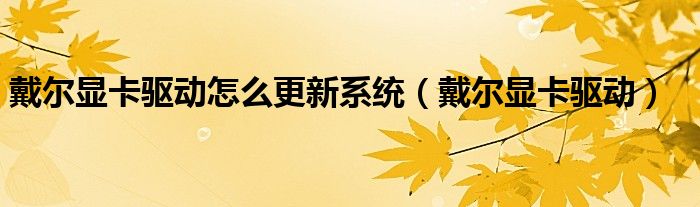 戴爾顯卡驅(qū)動(dòng)怎么更新系統(tǒng)（戴爾顯卡驅(qū)動(dòng)）