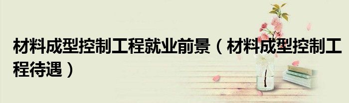 材料成型控制工程就業(yè)前景（材料成型控制工程待遇）