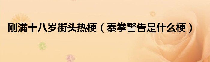 剛滿十八歲街頭熱梗（泰拳警告是什么梗）