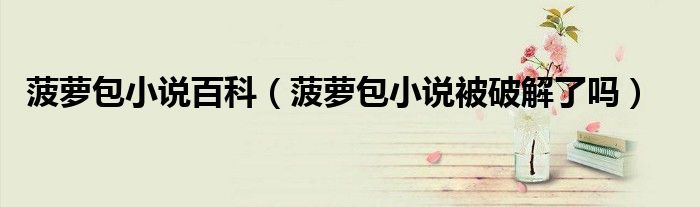 菠蘿包小說百科（菠蘿包小說被破解了嗎）