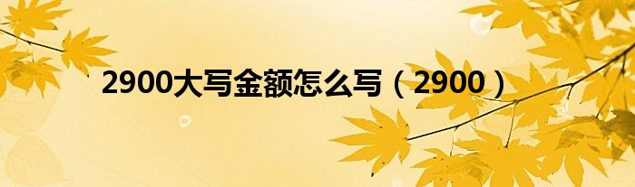 2900大寫金額怎么寫（2900）