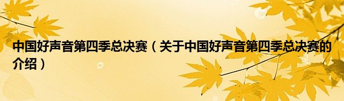 中國(guó)好聲音第四季總決賽（關(guān)于中國(guó)好聲音第四季總決賽的介紹）