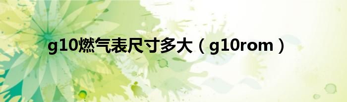 g10燃?xì)獗沓叽缍啻螅╣10rom）