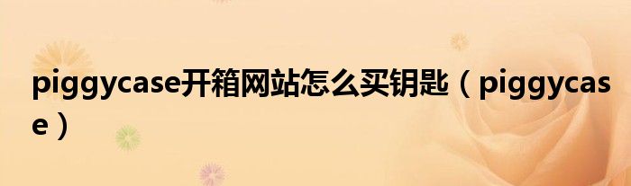 piggycase開箱網(wǎng)站怎么買鑰匙（piggycase）