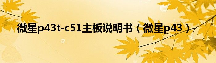 微星p43t-c51主板說明書（微星p43）