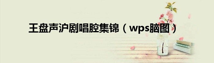 王盤聲滬劇唱腔集錦（wps腦圖）