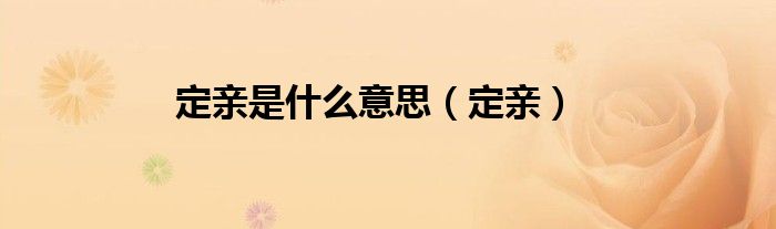 定親是什么意思（定親）