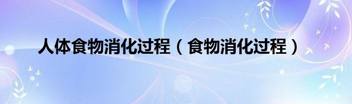 人體食物消化過程（食物消化過程）