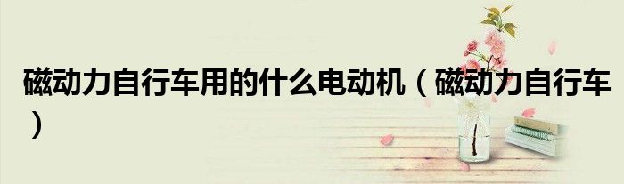磁動力自行車用的什么電動機（磁動力自行車）