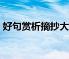好句賞析摘抄大全初中（佳句賞析摘抄大全）