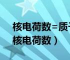 核電荷數(shù)=質(zhì)子數(shù)=核外電子數(shù)=原子序數(shù)（核電荷數(shù)）