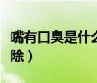 嘴有口臭是什么原因引起的（牙齒臭味怎么去除）
