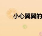 小心翼翼的近義詞（抉擇的近義詞）
