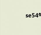 se54氣相色譜柱（se54）
