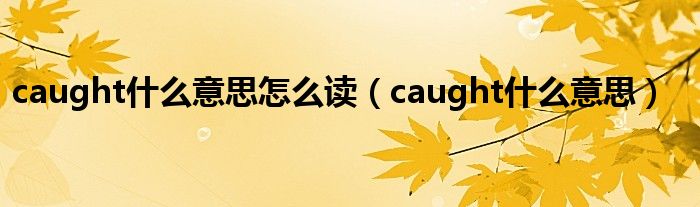 caught什么意思怎么讀（caught什么意思）