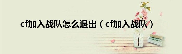 cf加入戰(zhàn)隊(duì)怎么退出（cf加入戰(zhàn)隊(duì)）