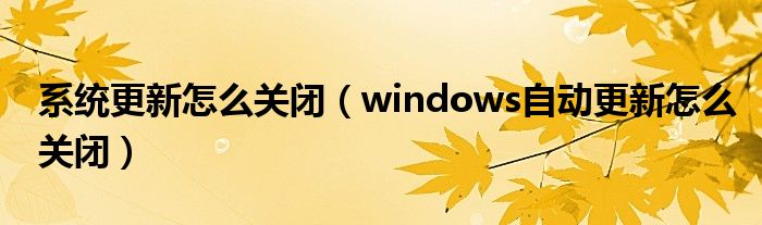系統(tǒng)更新怎么關(guān)閉（windows自動更新怎么關(guān)閉）