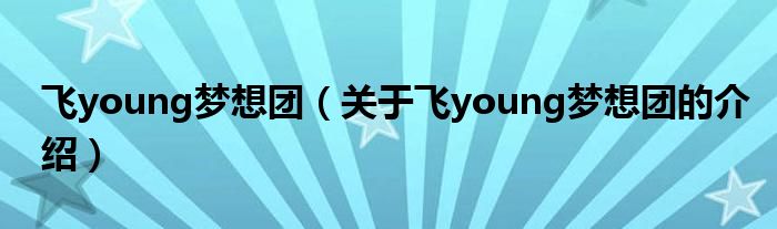 飛young夢想團（關(guān)于飛young夢想團的介紹）
