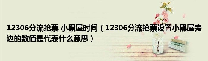 12306分流搶票 小黑屋時(shí)間（12306分流搶票設(shè)置小黑屋旁邊的數(shù)值是代表什么意思）