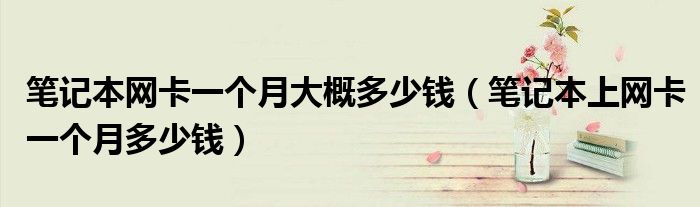 筆記本網(wǎng)卡一個月大概多少錢（筆記本上網(wǎng)卡一個月多少錢）