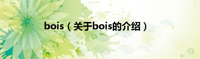 bois（關于bois的介紹）