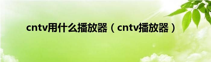 cntv用什么播放器（cntv播放器）