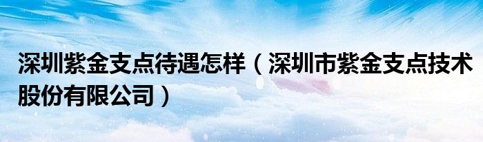 深圳紫金支點(diǎn)待遇怎樣（深圳市紫金支點(diǎn)技術(shù)股份有限公司）