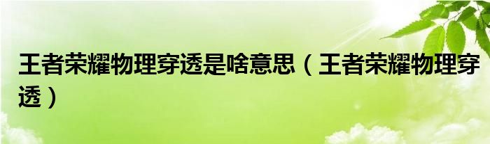 王者榮耀物理穿透是啥意思（王者榮耀物理穿透）