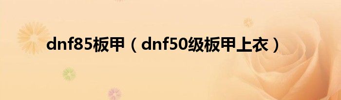 dnf85板甲（dnf50級板甲上衣）