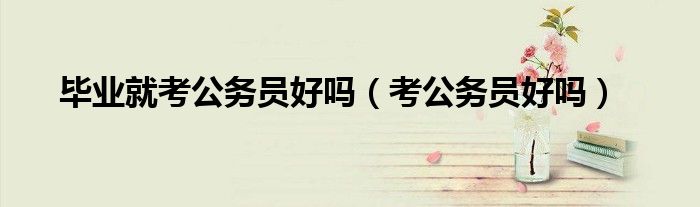 畢業(yè)就考公務(wù)員好嗎（考公務(wù)員好嗎）