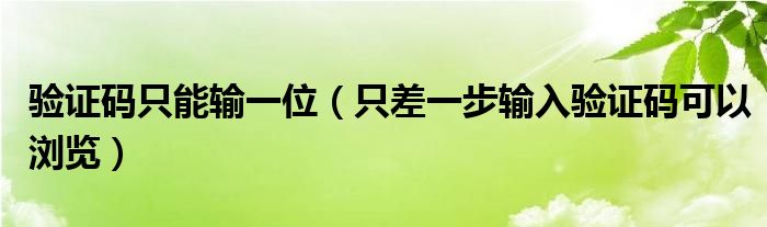 驗證碼只能輸一位（只差一步輸入驗證碼可以瀏覽）