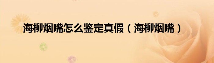 海柳煙嘴怎么鑒定真假（海柳煙嘴）