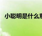 小聰明是什么意思哦（小聰明是什么意思）