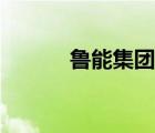 魯能集團有限公司（魯能集團）