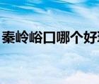 秦嶺峪口哪個好玩 水（秦嶺免費峪口哪個好）