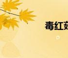 毒紅菇有毒嗎（毒紅菇）