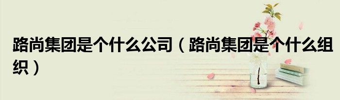 路尚集團(tuán)是個什么公司（路尚集團(tuán)是個什么組織）