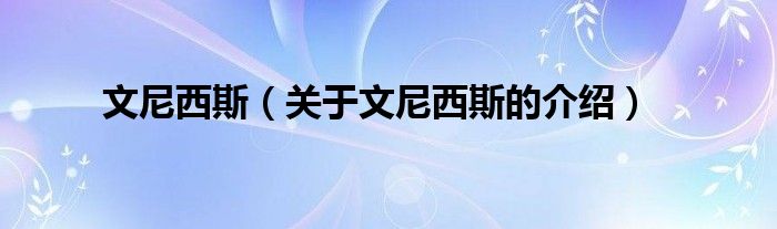 文尼西斯（關(guān)于文尼西斯的介紹）