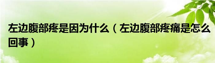 左邊腹部疼是因為什么（左邊腹部疼痛是怎么回事）