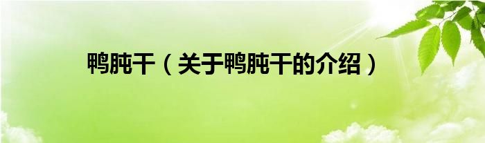 鴨肫干（關(guān)于鴨肫干的介紹）