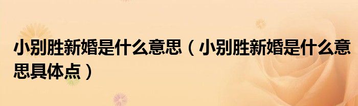 小別勝新婚是什么意思（小別勝新婚是什么意思具體點）